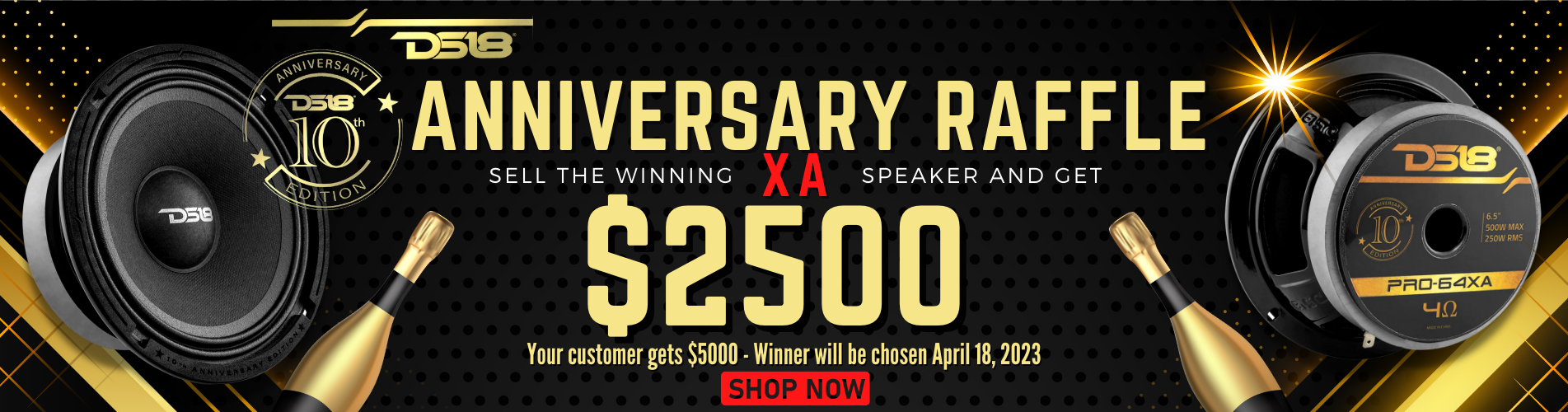 DS18 10 Year Anniversary XA Series — Big Jeff Audio Dealer Platform