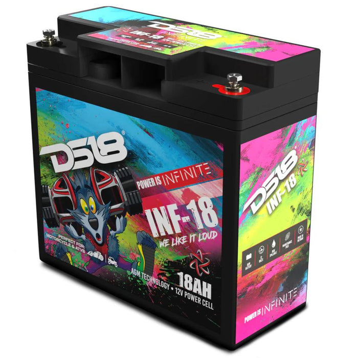 DS18 12V Battery 18 AH 750 Watts AGM 270 Amps Non Spillable INFINITE INF-18